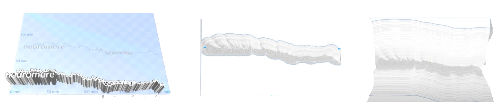 neuromere layers